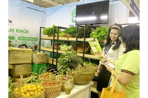 Doanh nghiệp nhỏ và vừa cần hỗ trợ